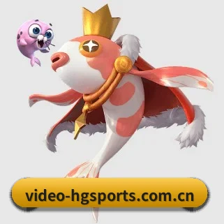 www.video-hgsports.com.cn APP